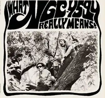 NGC-4594 / WHAT NGC-4594 REALLY MEANS! (LP+7")