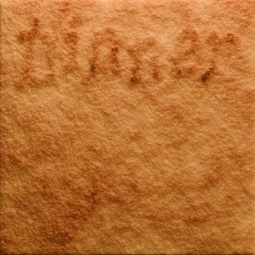 ROLROLROL / DINNER (LP)