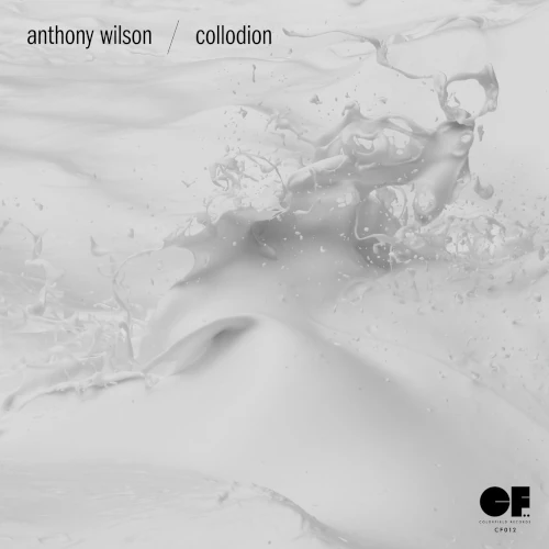 ANTHONY WILSON / アンソニー・ウィルソン / Collodion(LP)