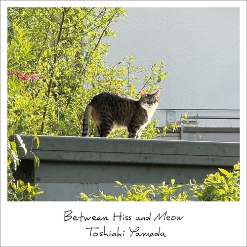 山田稔明 / シャーとニャーのはざまで