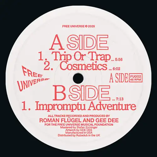 ROMAN FLUGEL & GEE DEE / IMPROMPTU ADVENTURE