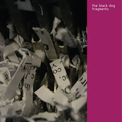 BLACK DOG / ブラック・ドッグ商品一覧｜PUNK｜ディスクユニオン