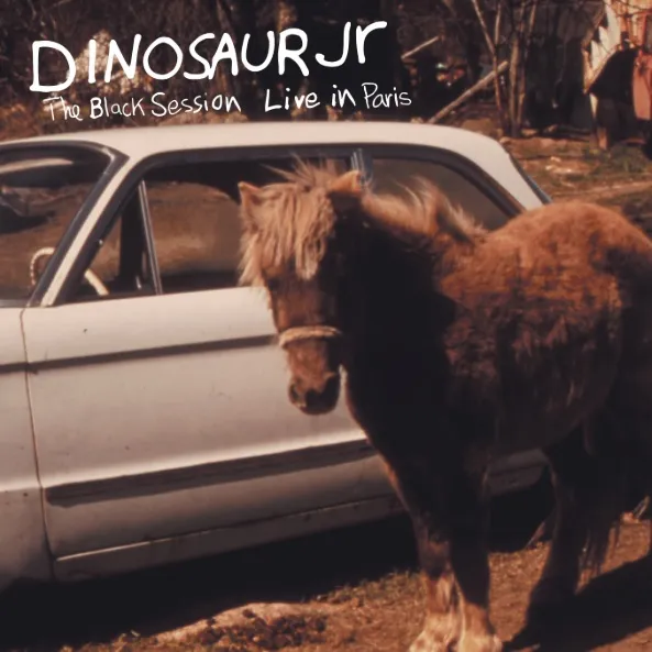 WITHOUT A SOUND [SPLATTER GREEN VINYL EDITION]/DINOSAUR JR