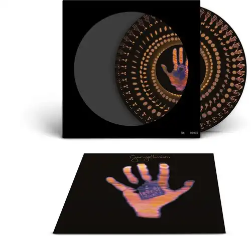 LIVING IN THE MATERIAL WORLD [LP] (ZOETROPE VINYL)/GEORGE