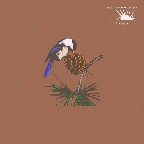 PEEL DREAM MAGAZINE / ピール・ドリーム・マガジン / TAURUS (CASSETTE)