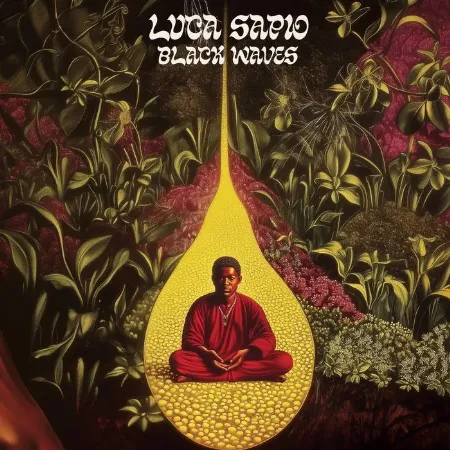 LUCA SAPIO / BLACK WAVES (2LP)