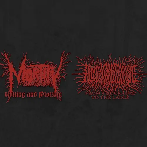 SPLIT / スプリット/MORTIFY (JPN) / HUMAN CORPSE ABUSE/国産秒殺・HM