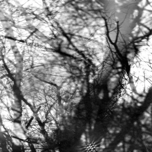 GROUPER / WAY THEIR CREPT (CD)