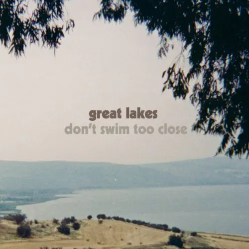 GREAT LAKES / グレイト・レイクス / DON'T SWIM TOO CLOSE (LP)