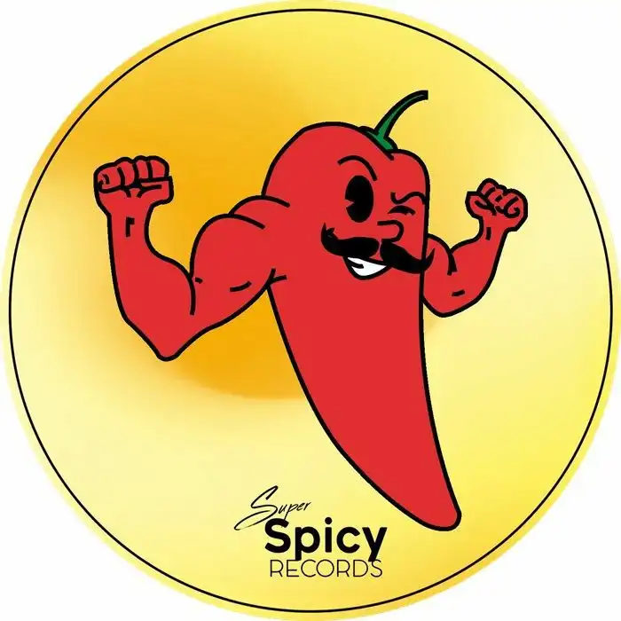 V.A. (SUPER SPICY) / SUPER SPICY RECIPE VOL 9 (12")