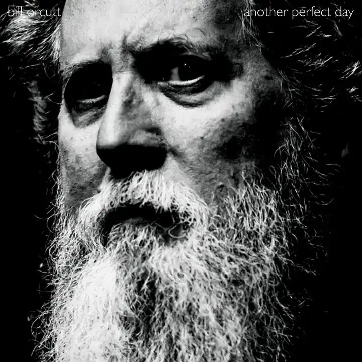 BILL ORCUTT / ANOTHER PERFECT DAY [CD]
