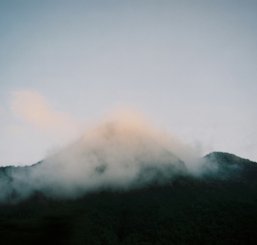 邦楽 OONO YUUKI LEONIDS CD LEONIDS | oono yuuki | bijinrecord