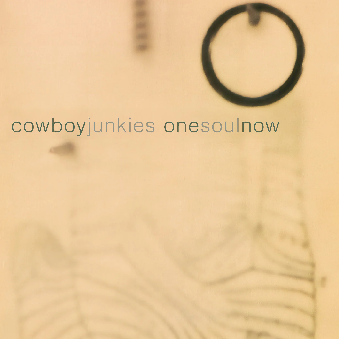 COWBOY JUNKIES / カウボーイ・ジャンキーズ商品一覧｜PUNK