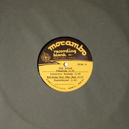 革命/兄弟(LP)/andymori/3rd album『革命』が待望のアナログ盤