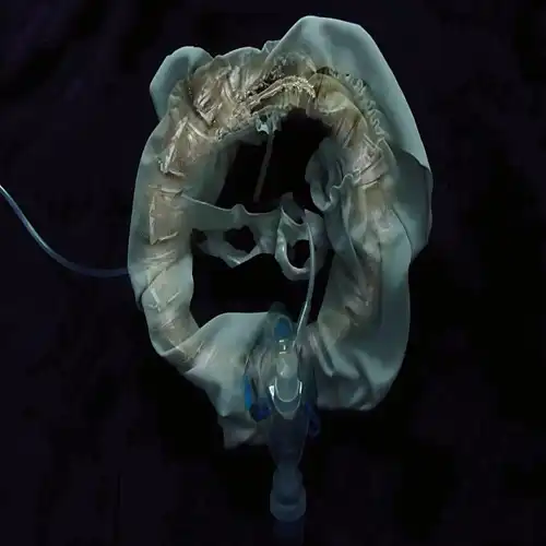 SHIP SKET / INITIATRIX (LP)