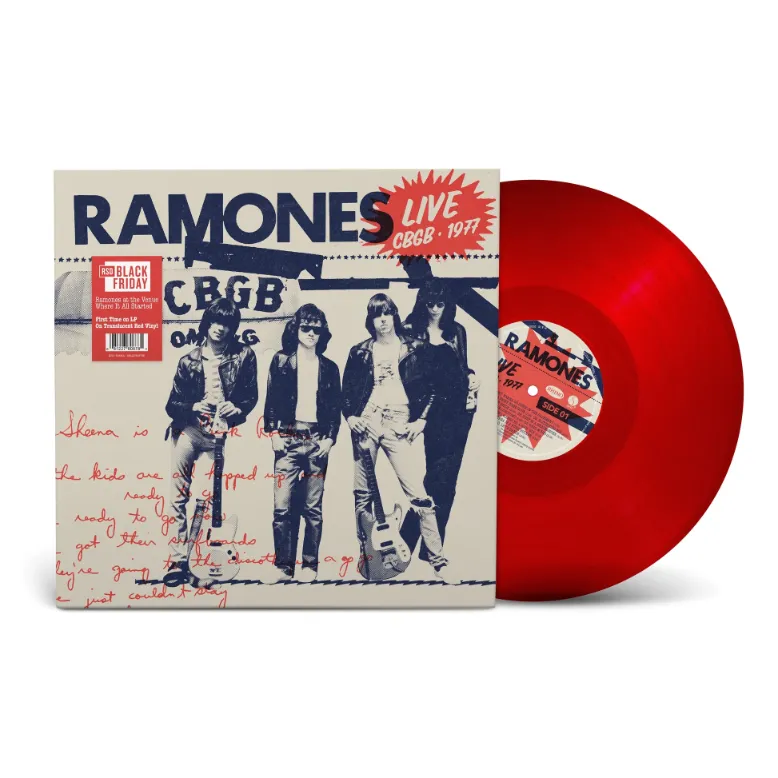 サイバーニュウニュウ　すいか割り　7インチ ramones パンク天国 サイバーニュウニュウ すいか割り 7インチ ramones パンク天国
