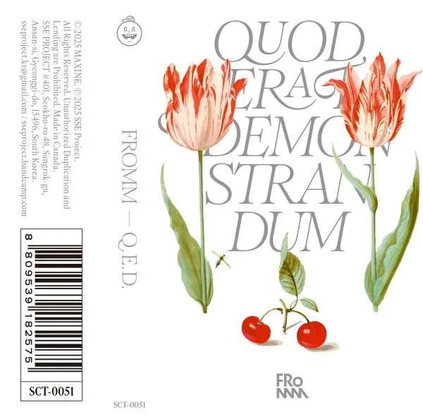 FROMM / フロム / Q.E.D