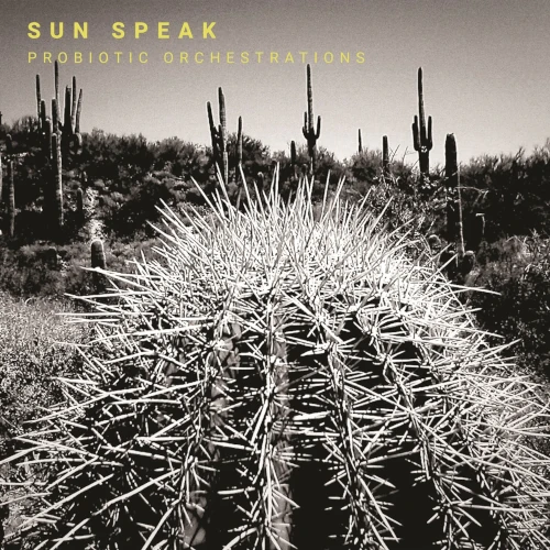 SUN SPEAK / サン・スピーク / Probiotic Orchestrations