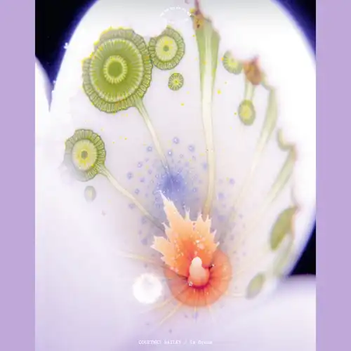 COURTNEY BAILEY / IN DREAM (LP)