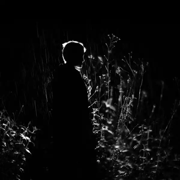 ALEJANDRA CARDENAS (ALE HOP) / A BODY LIKE A HOME