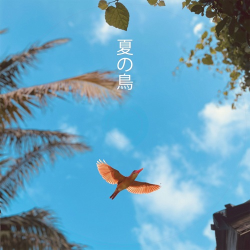 中山智代 / 夏の鳥