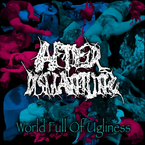 アフターディスマンタリング / ワールド・フル・オブ・アグリネス