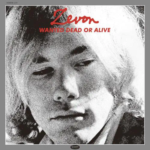 オールディーズレコード 12枚 オールディーズレコード 12枚 Amazon.co.jp: ダンシング