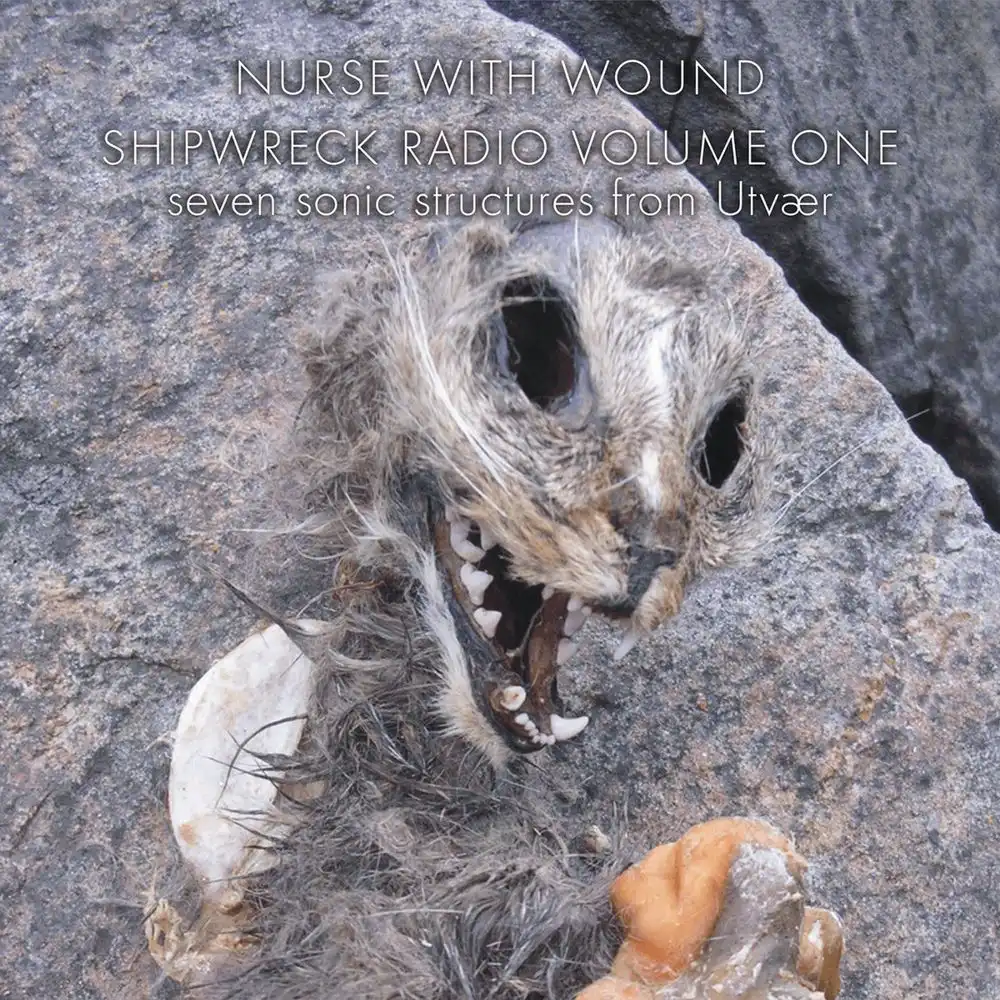 INSECT AND INDIVIDUAL SILENCED / /NURSE WITH WOUND/ナース・ウィズ