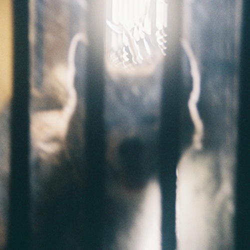 Jacob Tanaka / 田中ヤコブ / にほひがそこに