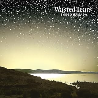 SHOGO HAMADA / 浜田省吾 / Wasted Tears(LP)