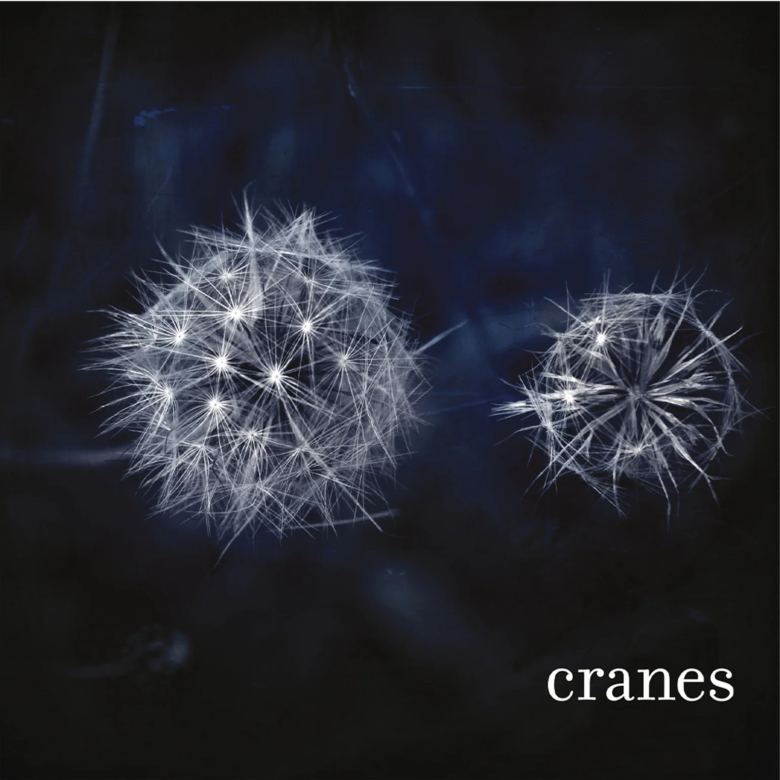 CRANES / クレインズ / CRANES