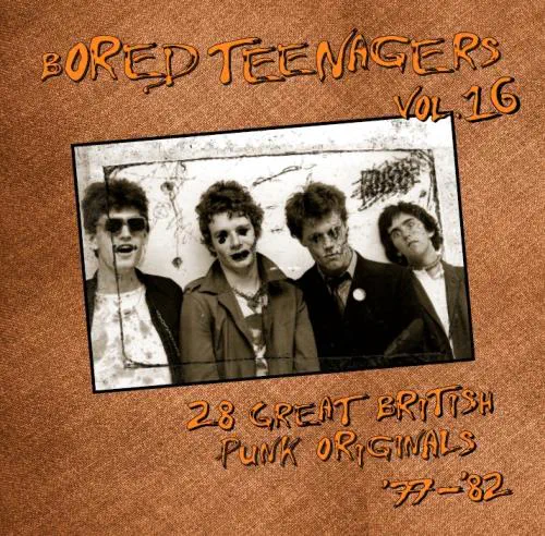 VA (BIN LINER RECORDS) / BORED TEENAGERS VOL.16