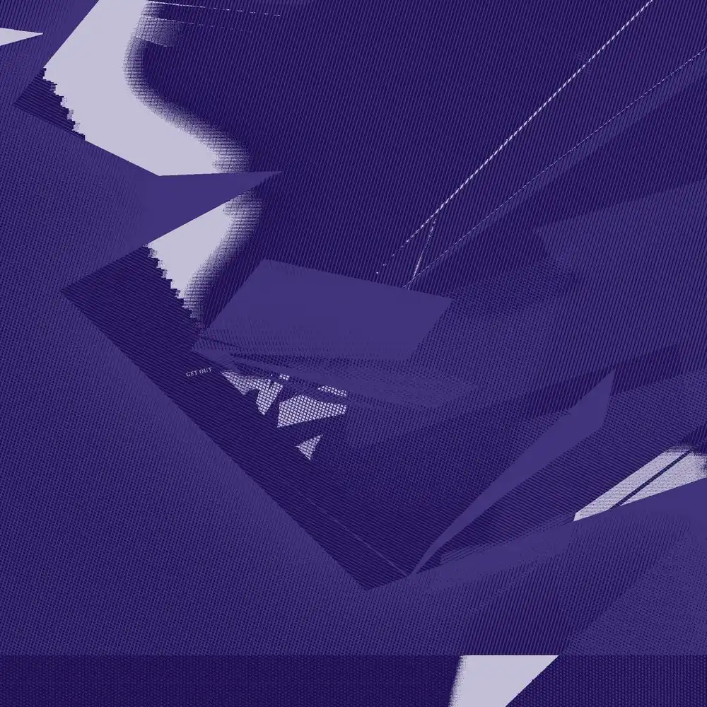 PITA / ピタ / GET OUT [2LP]