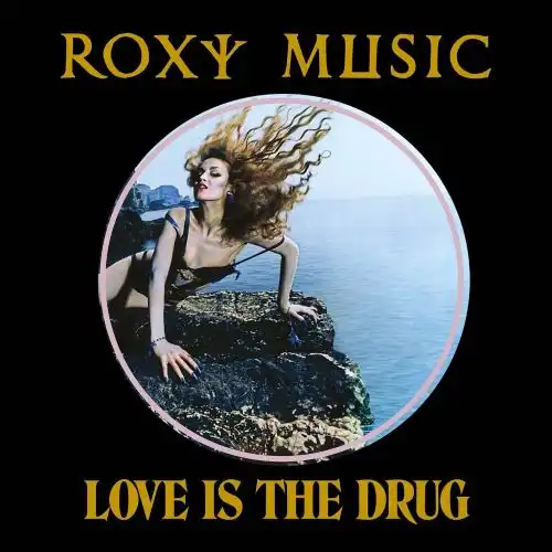 ROXY MUSIC / ロキシー・ミュージック商品一覧｜ディスク
