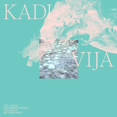 KADI VIJA / Tiny Hands Gathering Wonder, The World Becomes Magic(LP)