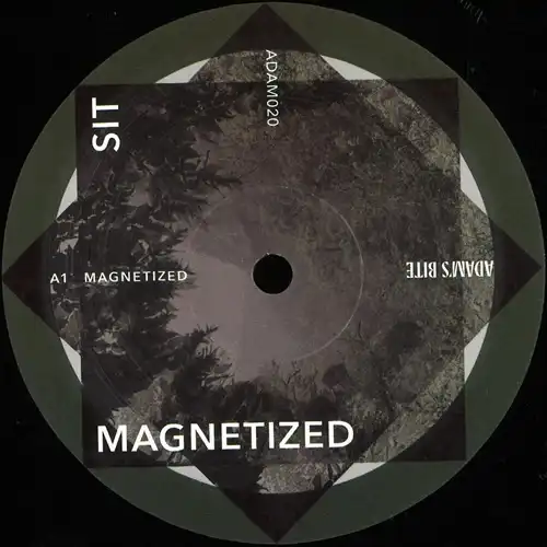 SIT / MAGNETIZED