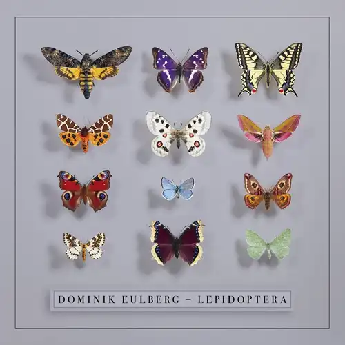 DOMINIK EULBERG / LEPIDOPTERA