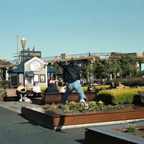 Sunny Day Service / サニーデイ・サービス / サニービート(LP)