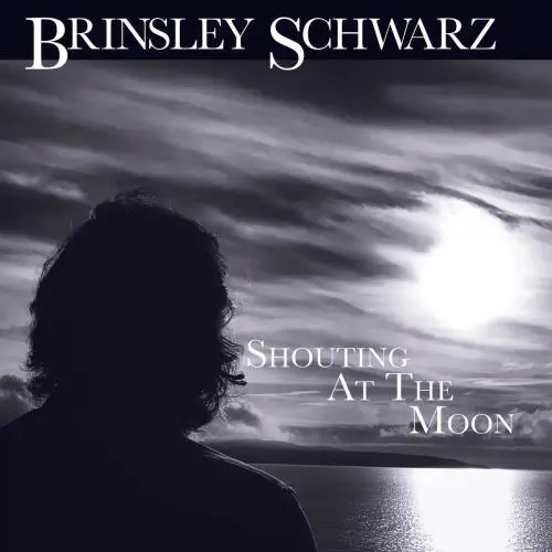 BRINSLEY SCHWARZ (SOLO) / SHOUTING AT THE MOON (CD)
