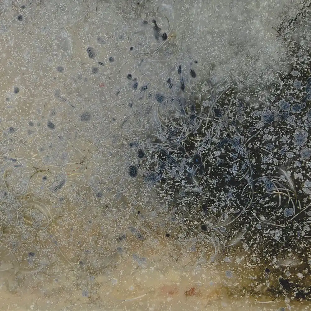 ANDREA BELLUCCI & GIULIO ALDINUCCI / SLOW DANCES AND STILL MEMORIES [CD]