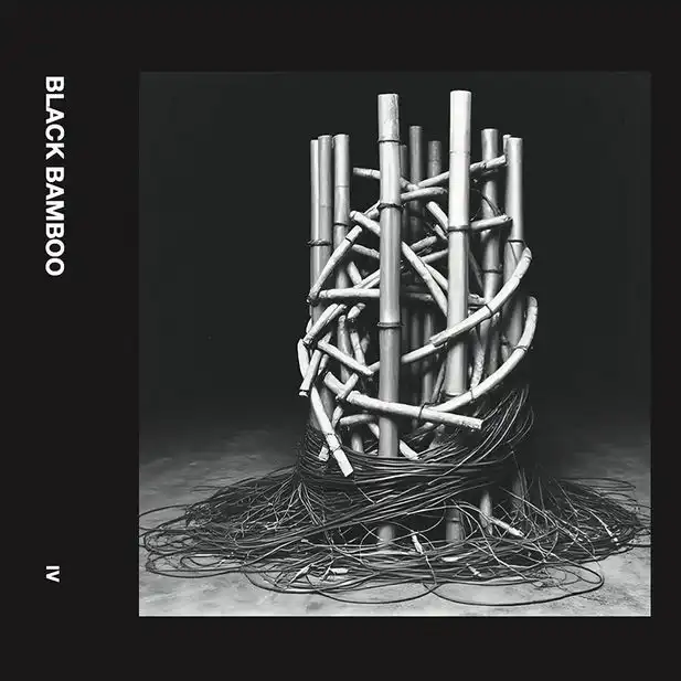 TeZ (MAURIZIO MARTINUCCI) / BLACK BAMBOO IV [CD]