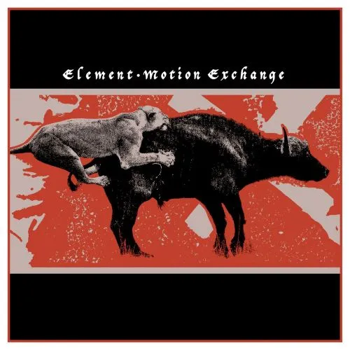 ELEMENT / MOTION EXCHANGE