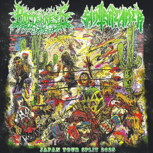 AxCx/INSULT - Split【CD】グラインドコア grindcore AxCx/INSULT - Split【CD】グラインドコア grindcore AxCx/INSULT