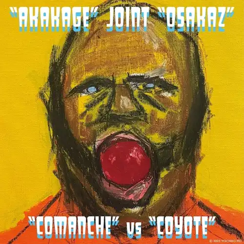 アナログ盤｜JAPANESE ROCK・POPS / INDIES｜ディスクユニオン