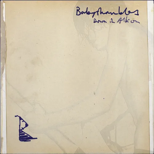 BABYSHAMBLES / ベイビーシャンブルズ / DOWN IN ALBION (20TH ANNIVERSARY EDITION) (REMASTER) [2LP]