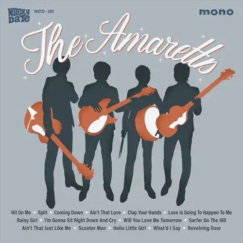 自主制作盤｜JAPANESE ROCK・POPS / INDIES｜ディスクユニオン