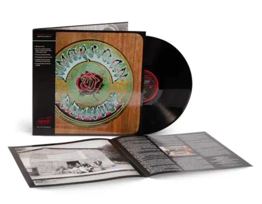 GRATEFUL DEAD / グレイトフル・デッド商品一覧｜ディスクユニオン