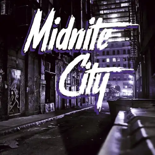 Midnite City Japan Tour 2019 パーカー L イギリス Midnite City Japan Tour 2019 パーカー L イギリス
