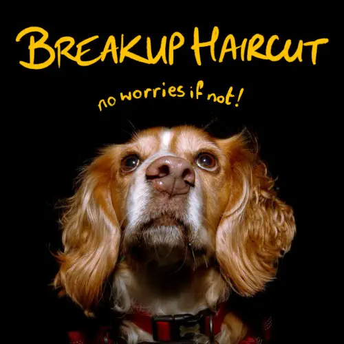 BREAKUP HAIRCUT / NO WORRIES IF NOT (CD)