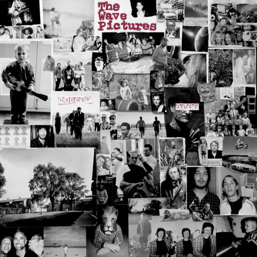 WAVE PICTURES / ウェーヴ・ピクチャーズ / GAINED/LOST (CD)